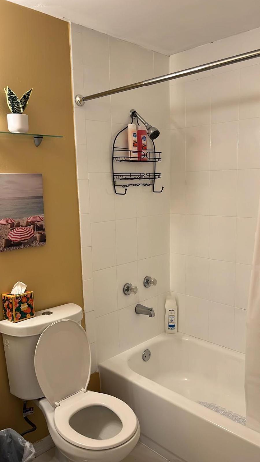 Beautiful, Fully Furnished 4Bed 2Bath House - 5 Minute Walk To Miracle Mile Downtown Coral Gables Villa Miami Dış mekan fotoğraf